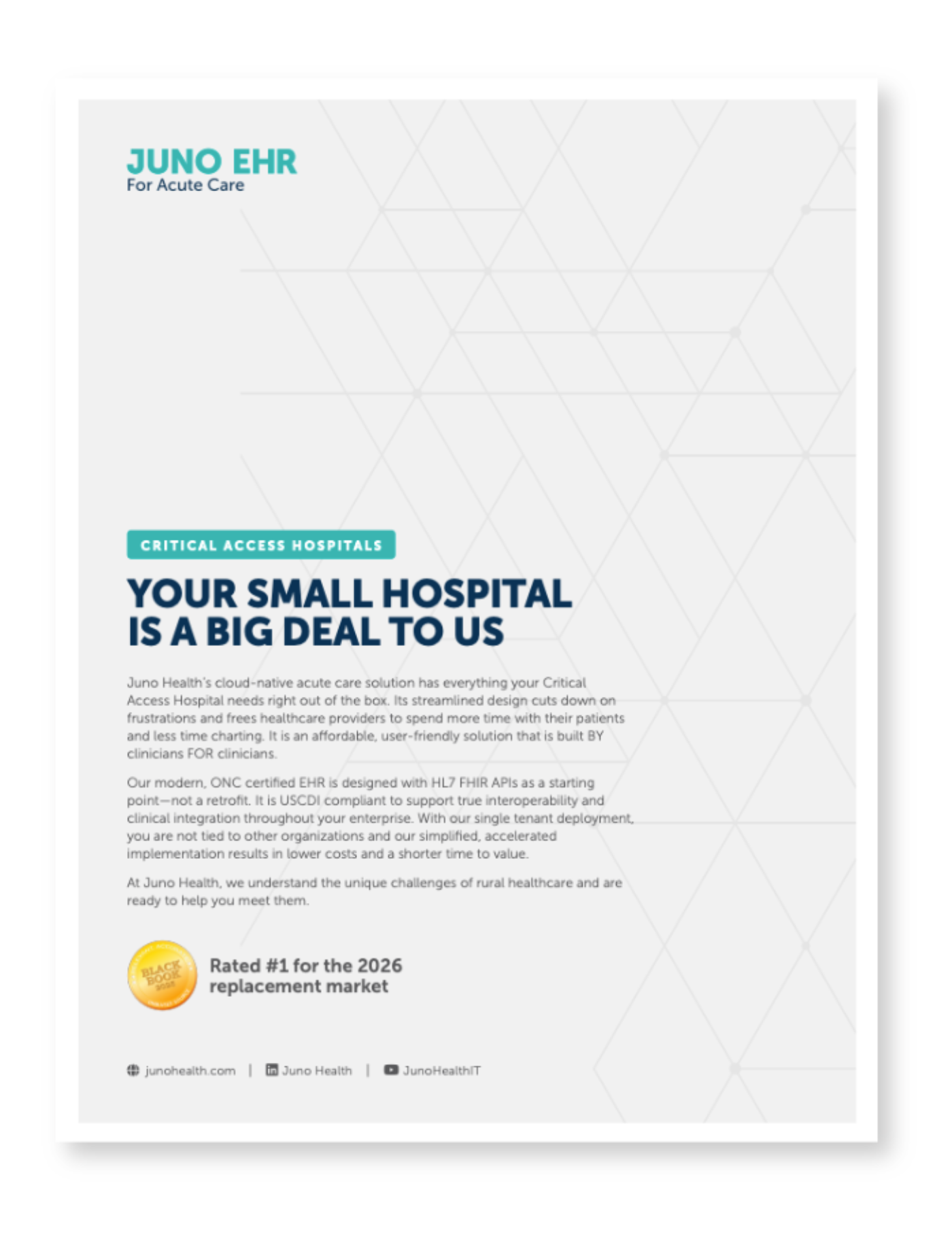 Critical-Access-One-Sheet